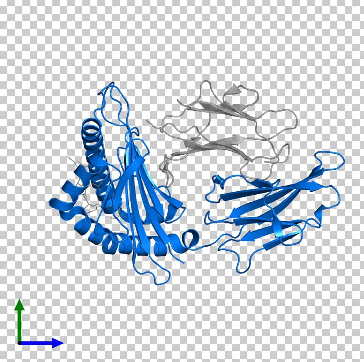 Human Leukocyte Antigen HLA-B Peptide Protein Structure Gene PNG, Clipart, Area, Art, Artwork, Assembly, Blue Free PNG Download