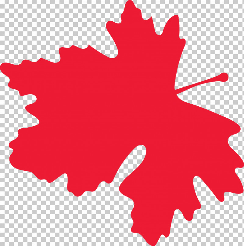 Maple Leaf PNG, Clipart, 2019, Commissioner, Election Commission Of Sri Lanka, Leaf, Maple Leaf Free PNG Download