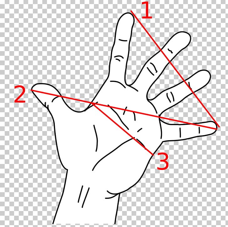 Golden Ratio Mathematics Measurement Hand Little Finger PNG, Clipart, Analogy, Angle, Area, Black And White, Diagram Free PNG Download