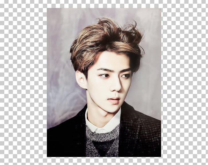 Sehun EXO South Korea China Person PNG, Clipart, Brown Hair, Bts Tattoo, Chin, China, Dilraba Dilmurat Free PNG Download