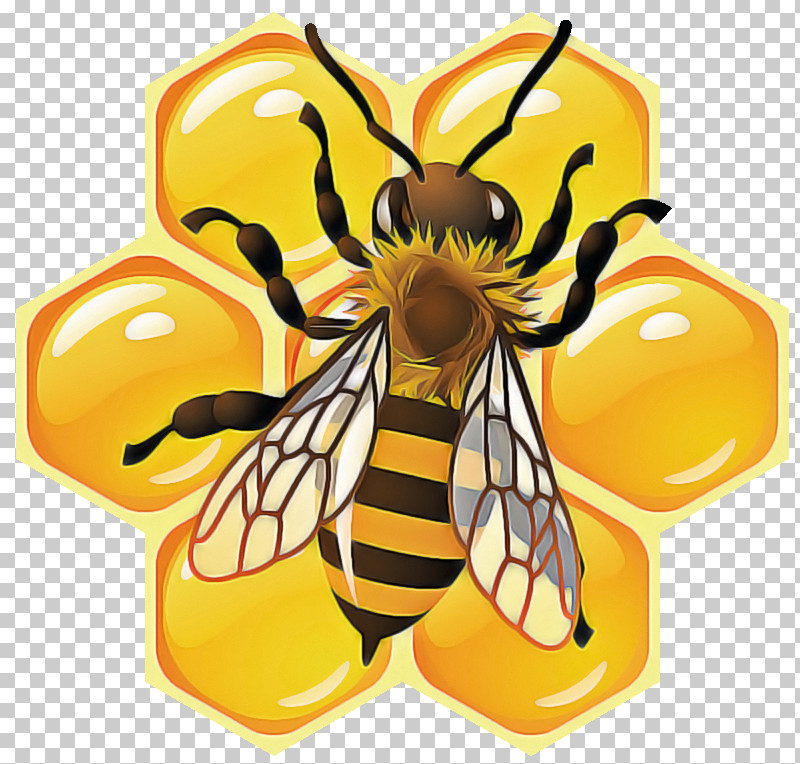 Bumblebee PNG, Clipart, Bee, Bumblebee, Honeybee, Insect, Membranewinged Insect Free PNG Download