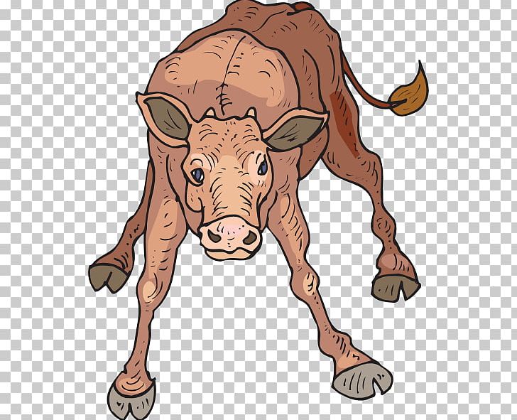 Beef Cattle Calf Bull PNG, Clipart, Animal Figure, Beef Cattle, Bull, Calf, Calf Cliparts Free PNG Download