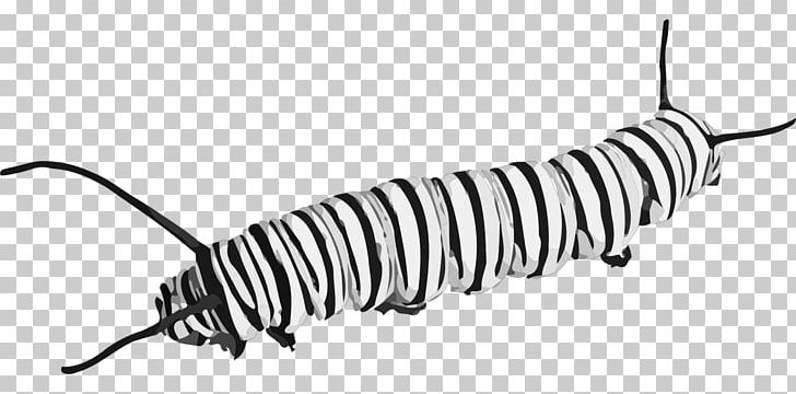 Butterfly Insect Caterpillar PNG, Clipart, Auto Part, Black And White, Butterflies And Moths, Butterfly, Caterpillar Free PNG Download