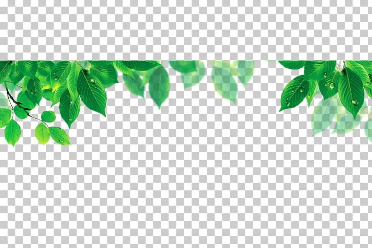 Computer File PNG, Clipart, 3d Computer Graphics, Adobe Illustrator, Autumn Leaf, Branch, Branches Free PNG Download