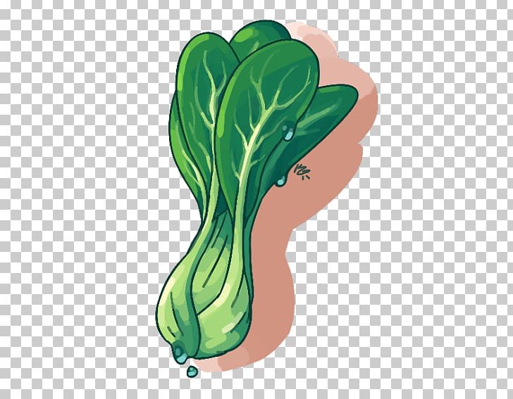 Leaf Vegetable PNG, Clipart, Bok Choy, Cartoon, Food, Food Drinks, Grass Free PNG Download
