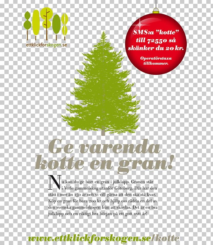 Minnesota River Builders Association Christmas Tree Earley Center For Performing Arts Keyword Tool PNG, Clipart, Box Office, Christmas, Christmas Decoration, Christmas Ornament, Christmas Tree Free PNG Download