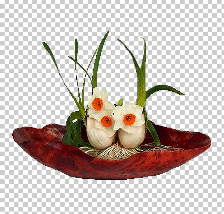 Narcissus Tazetta Kim Su01a1n District Flowerpot Lunar New Year Bonsai PNG, Clipart, Blog, Dish, Floral Design, Flower, Food Free PNG Download