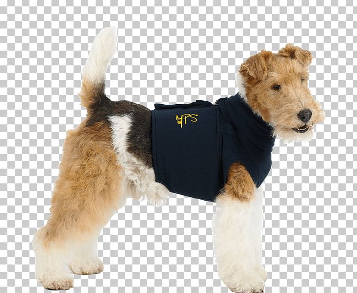 T-shirt Dog Cat Veterinarian PNG, Clipart, Carnivoran, Cat, Clothing, Collar, Companion Dog Free PNG Download