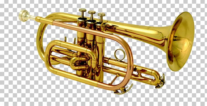Cornet Musical Instruments Brass Instruments Trumpet Baritone Horn PNG, Clipart, Alto Horn, Baritone Horn, Bore, Brass, Brass Instrument Free PNG Download