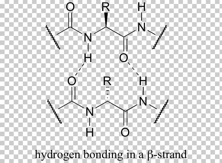 Procainamide Hydrochloride Procainamide Hydrochloride Hydrochloric Acid Pharmaceutical Drug PNG, Clipart, Acid, Amino Acid, Angle, Black And White, Chemical Structure Free PNG Download