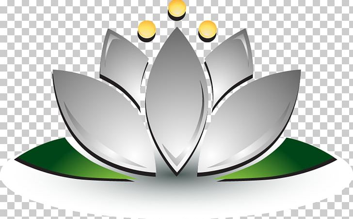 Three-dimensional Space Texture Mapping Icon PNG