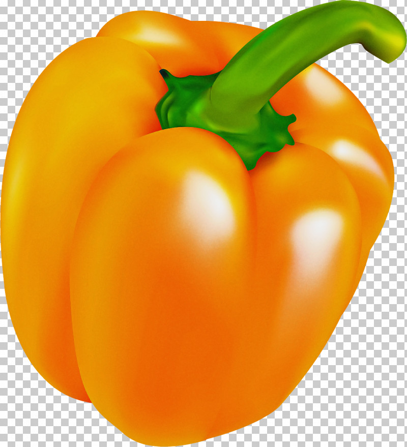 Tomato PNG, Clipart, Bell Pepper, Capsicum, Food, Fruit, Ingredient Free PNG Download