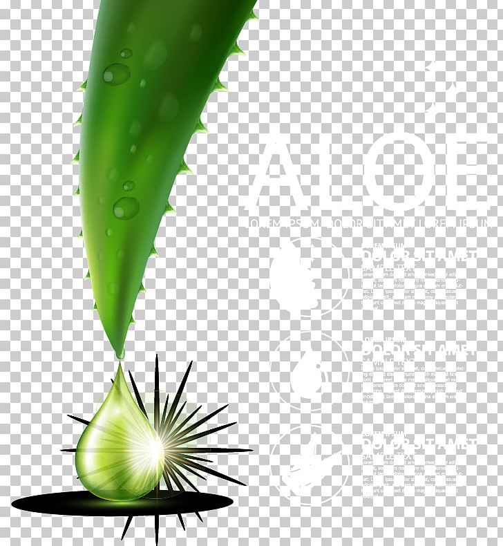 Aloe Vera Leaf Liquid Green Drop PNG, Clipart, Ad Vector, Aloe, Aloe Plant, Aloe Vector, Care Free PNG Download