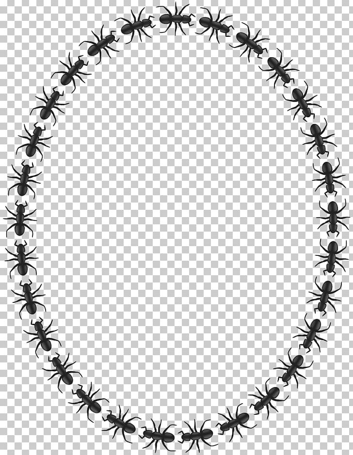 Ant Mill Insect Circle PNG, Clipart, Animals, Ant, Ant Colony, Ant Mill, Ants Free PNG Download