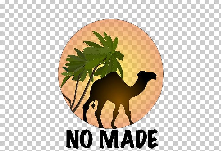 Camel Silhouette Decal PNG, Clipart, Animal, Banner, Camel, Camel Like Mammal, Decal Free PNG Download