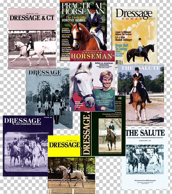 Horse Poster Mammal PNG, Clipart, Advertising, Animals, Dressage, Horse, Horse Like Mammal Free PNG Download