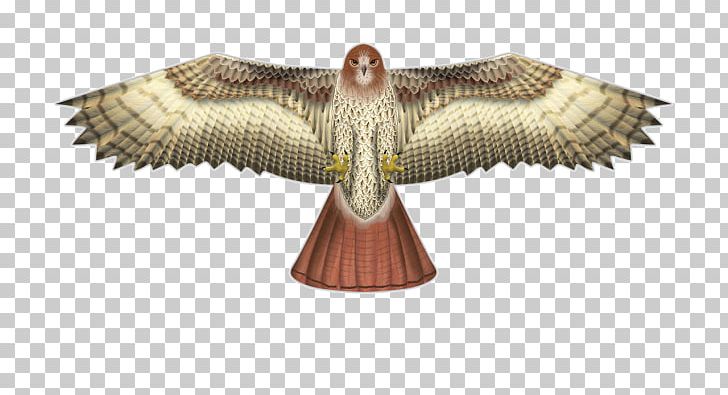 Kite Line Bird Of Prey Hawk PNG, Clipart, Accipitriformes, Animal Figure, Animals, Beak, Bird Free PNG Download