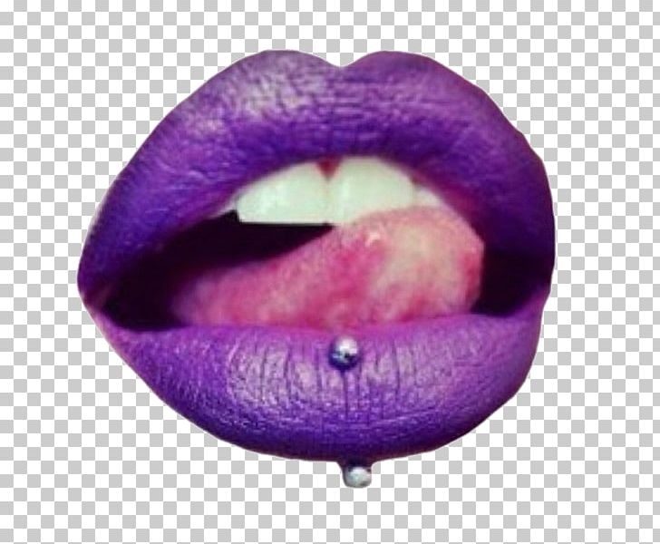 Lip Piercing Body Piercing Labret Hair PNG, Clipart, Body Modification, Body Piercing, Cosmetics, Eyebrow, Hair Free PNG Download