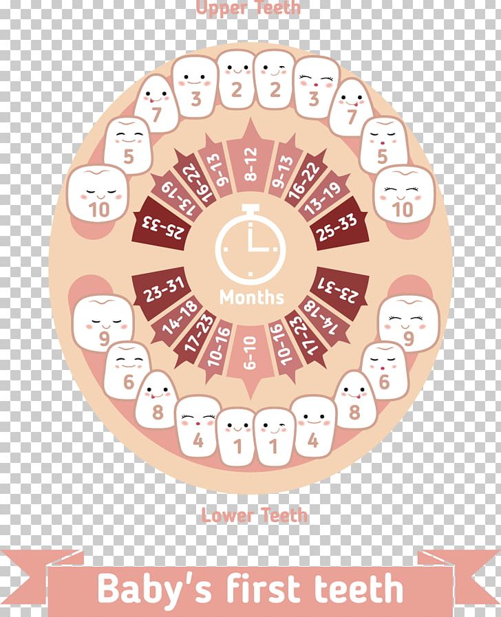 Teething Infant Deciduous Teeth Human Tooth PNG, Clipart, Baby, Baby Girl, Baby Vector, Balloon Cartoon, Cartoon Free PNG Download