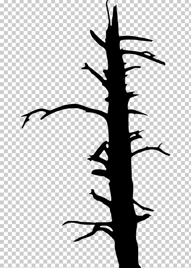 Twig Tree Drawing PNG, Clipart, Artwork, Black, Black And White, Branch, Clip Art Free PNG Download