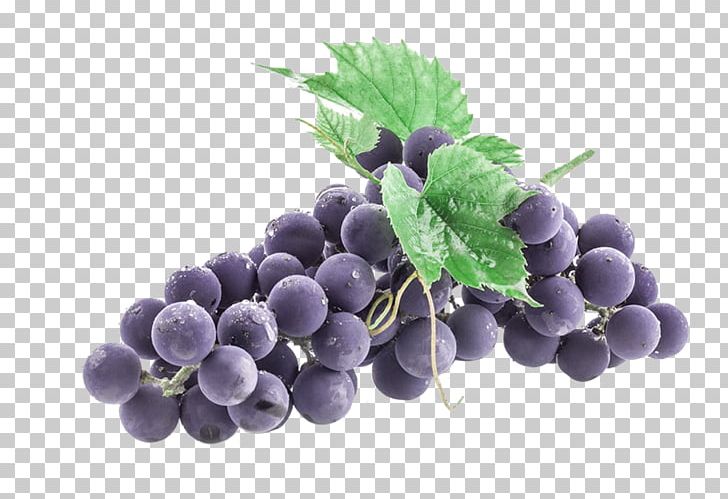 Kyoho Gamay Embryophyta Drumstick Tree Grape PNG, Clipart, Argan, Blueberry, Food, Free Logo Design Template, Fruit Free PNG Download