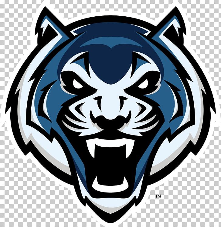 Lincoln University University Of Central Missouri Lincoln Blue Tigers Women's Basketball Northeastern State University Truman State University PNG, Clipart,  Free PNG Download