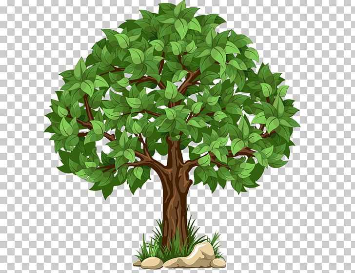 Tree PNG, Clipart, Arecaceae, Branch, Document, Flowerpot, Grass Free PNG Download