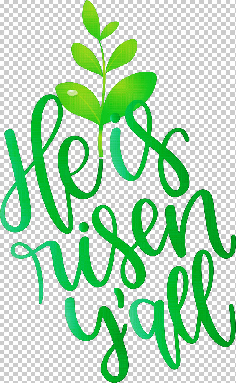 He Is Risen Jesus PNG, Clipart, Green, He Is Risen, Jesus, Leaf, Plant Free PNG Download