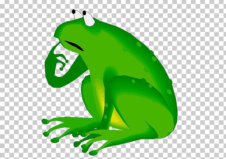 Frog Lithobates Clamitans Reptile Turtle PNG, Clipart, Amphibian, Animal, Animals, Big Cat, Fauna Free PNG Download