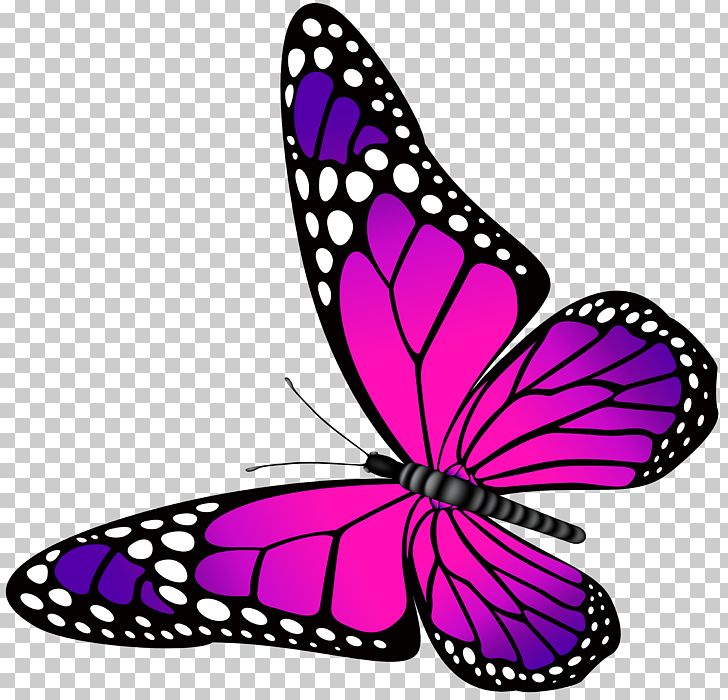 Butterfly Pink Purple PNG, Clipart, Blue, Brush Footed Butterfly, Butterfly, Butterfly Clip Art, Clipart Free PNG Download
