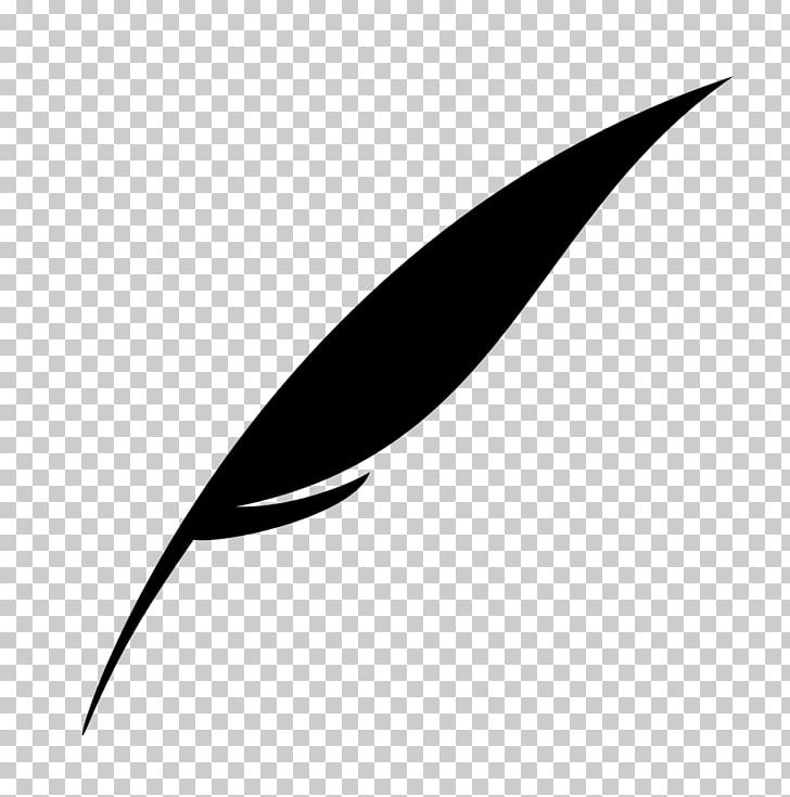Monochrome Photography Quill Corp Leaf PNG, Clipart, Black And White, Corp, Feathers, Leaf, Line Free PNG Download