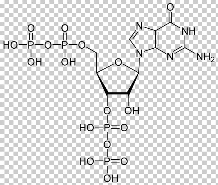Adenosine Triphosphate Molecule Adenosine Diphosphate Cellular Respiration PNG, Clipart, Adenosine, Adenosine Diphosphate, Adenosine Triphosphate, Angle, Area Free PNG Download