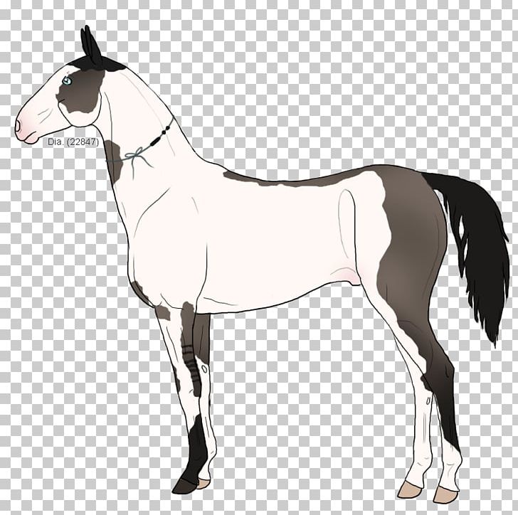 Mule Mustang Stallion Foal Colt PNG, Clipart, Bridle, Colt, Foal, Halter, Heliostfb Inc Free PNG Download