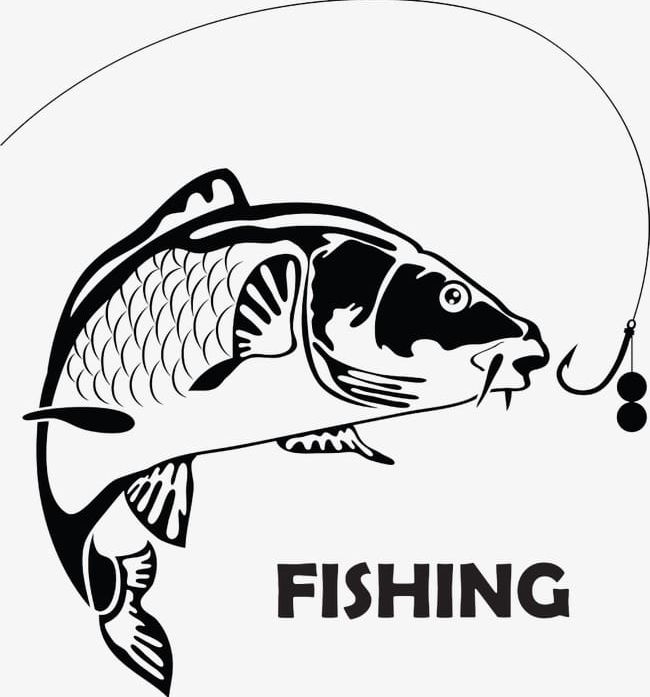 Fish logo design by mouze_art on Dribbble