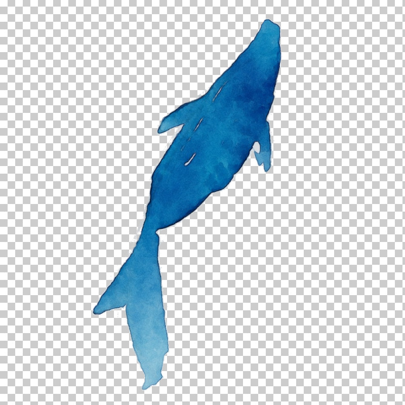 Fin Turquoise Fish Fish Dolphin PNG, Clipart, Blue Whale, Cetacea, Dolphin, Fin, Fish Free PNG Download