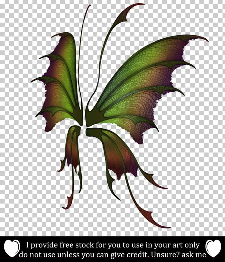Butterfly Brush-footed Butterflies Graphics Illustration Giant Panda PNG, Clipart, Art, Arthropod, Brush Footed Butterfly, Butterfly, Butterfly Wings Free PNG Download