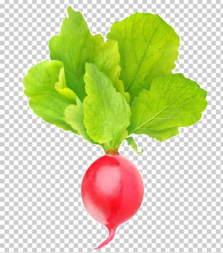 Stock Photography Vegetable Food Spring Greens Garden Radish PNG, Clipart, Beet, Beetroot, Diet Food, Food, Food Drinks Free PNG Download