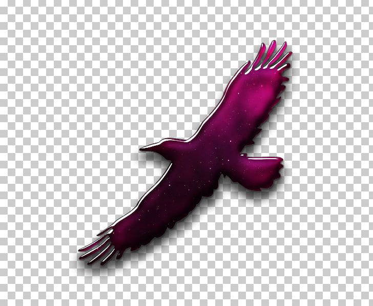 Wing Bird Symbol Computer Icons PNG, Clipart, Animals, Beak, Bird, Bird Icon, Bird Of Prey Free PNG Download
