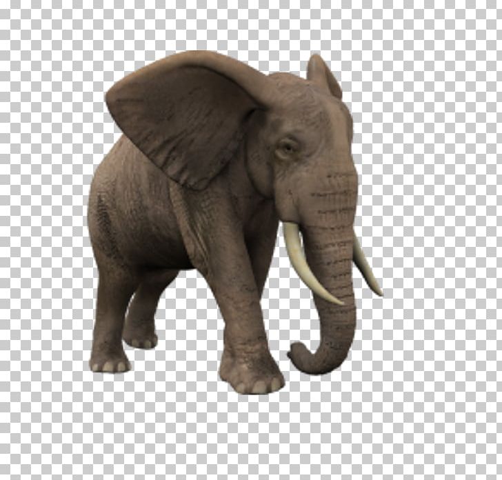 African Elephant Animaatio PNG, Clipart, 10 Puzzle, African Elephant, Android, Animaatio, Animated Film Free PNG Download