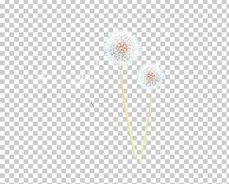 Dandelion White Plant PNG, Clipart, Background White, Black White, Circle, Dandelion, Dandelions Free PNG Download