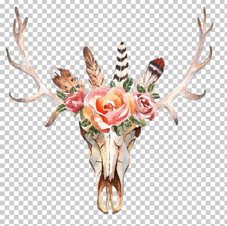 Deer Flower Skull Stock Photography Horn PNG, Clipart, Animals, Antler, Bohochic, Cut Flowers, Deer Free PNG Download