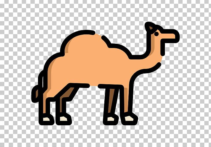 Dromedary Pack Animal Infectious Disease Infection PNG, Clipart, Animal, Animal Figure, Arabian Camel, Camel, Camel Like Mammal Free PNG Download