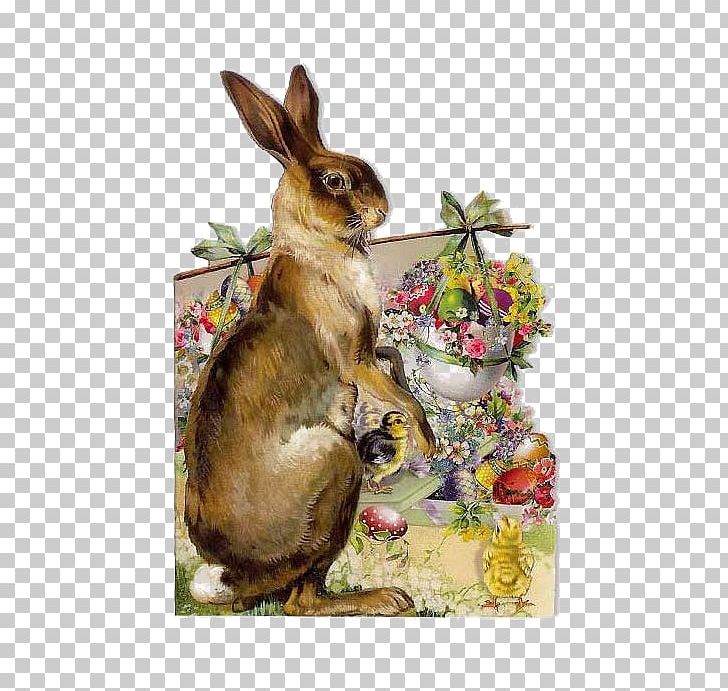 Easter Bunny Mother Rabbit Easter Egg PNG, Clipart, Animals, Cartoon, Chocolate, Christmas, Domestic Rabbit Free PNG Download