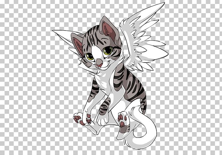 Free How To Draw An Anime Cat Download Free How To Draw An Anime Cat png  images Free ClipArts on Clipart Library