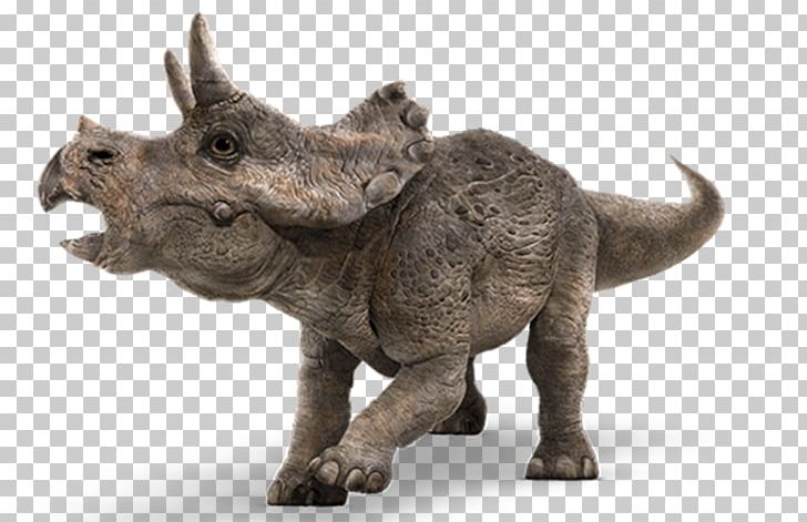 Tyrannosaurus Apatosaurus Dinosaur Jurassic Park Isla Nublar PNG, Clipart, Animatronics, Apatosaurus, Dinosaur, Fantasy, Fauna Free PNG Download