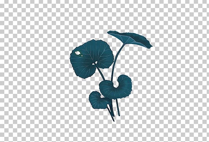 Leaf Lotus Effect PNG, Clipart, Aqua, Autumn Leaf, Blue, Dark, Dark Green Free PNG Download