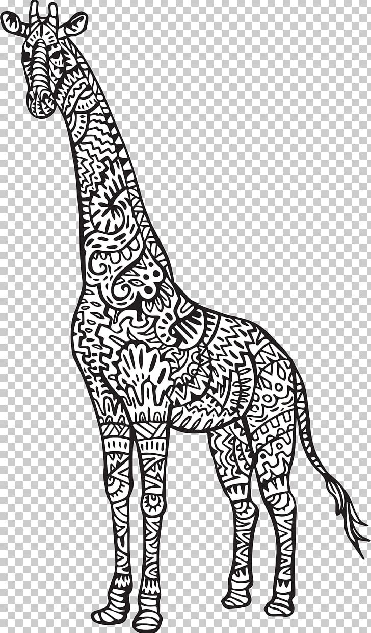 Baby Giraffes Reticulated Giraffe Coloring Book Adult Drawing PNG, Clipart, Adult, Animal, Animal Figure, Animals, April Free PNG Download