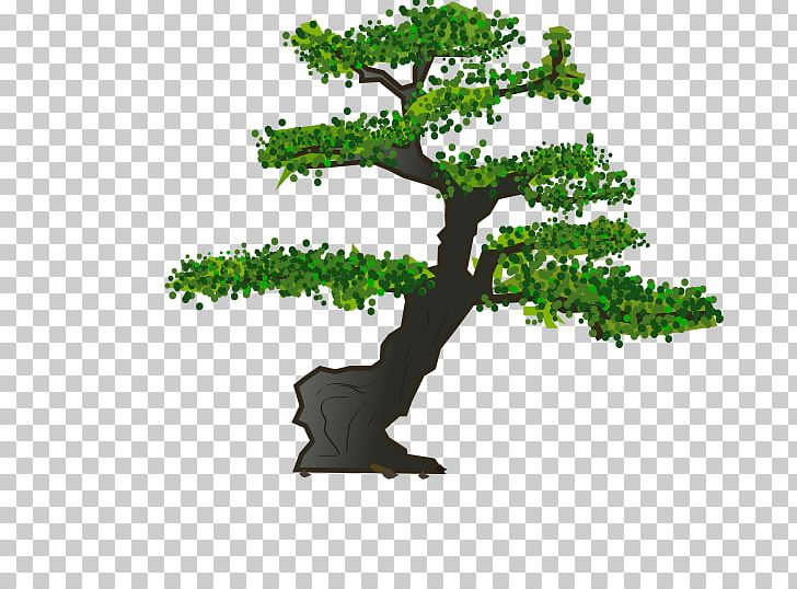 Bonsai Tree Sageretia Theezans PNG, Clipart, Bonsai, Bonsai Tree, Branch, Computer Icons, Flowerpot Free PNG Download