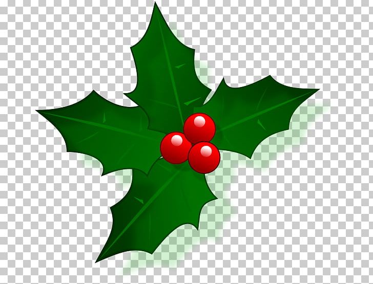 Christmas And Holiday Season PNG, Clipart, Aquifoliaceae, Aquifoliales, Christmas, Christmas And Holiday Season, Christmas Dinner Free PNG Download