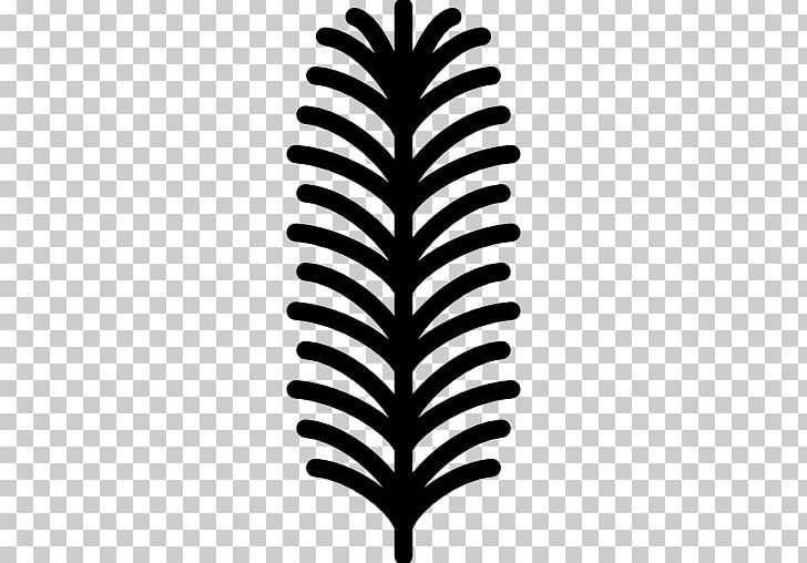 Computer Icons English Yew PNG, Clipart, Black And White, Branch, Computer Icons, Conifers, Encapsulated Postscript Free PNG Download